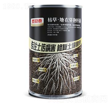 �ݲݡ�����ѿ�ߗU��-����-����r(n��ng)��