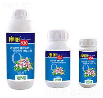 ħ��930-ħ��Һ��