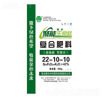 �ͺϷ�22-10-10-����������-�̂��п�