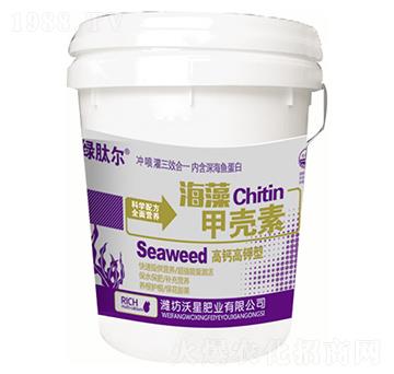 ����ך���-���ǷʘI(y��)