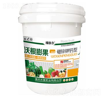 �ָ�������\��}��-���ǷʘI(y��)