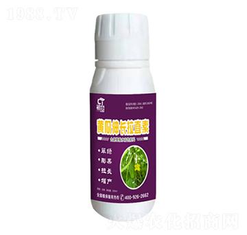 黃瓜伸長拉直素-初唐-睿之澤