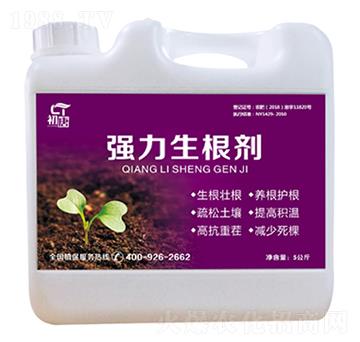 強(qiáng)力生根劑-初唐-睿之澤