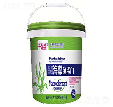 �����~(y��)����-ǧ���