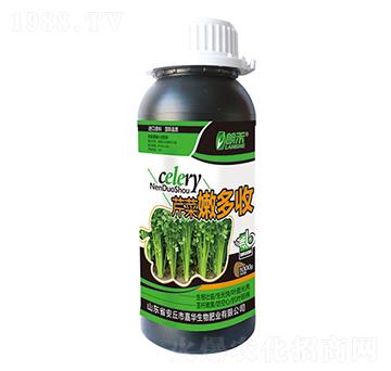 芹菜嫩多收-施萊佳-盈豐農(nóng)業(yè)