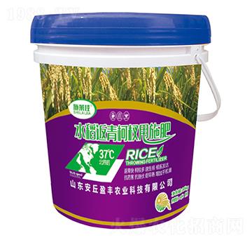 水稻返青柯杈用施肥-施萊佳-盈豐農(nóng)業(yè)