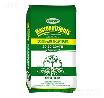 平衡營(yíng)養(yǎng)型大量元素水溶肥料20-20-20+TE-豐碩萬家-盈豐農(nóng)業(yè)