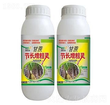 甘蔗節(jié)長(zhǎng)增粗肥-瑞錫生物