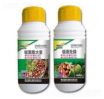 板栗膨大素+板栗先鋒-瑞錫生物