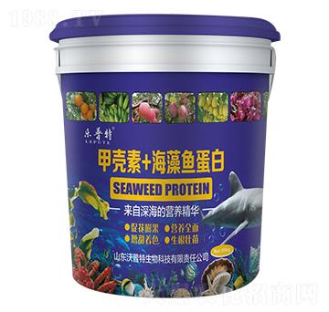 �ך���+�����~(y��)����-��(l��)����-������