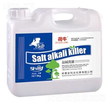 �}�A����-��ţ-ʷ����