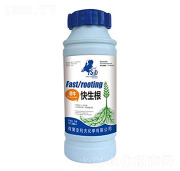 ����������-ʷ����