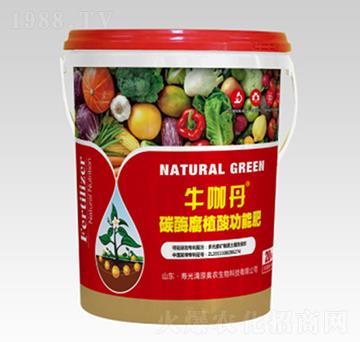 碳酶腐殖酸功能肥-?？У?清原奧農(nóng)