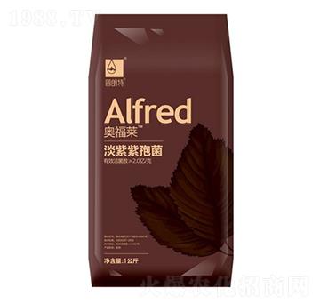 淡紫紫孢菌-奧福萊-圃朗特