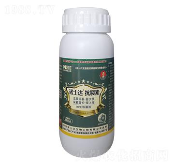 ������-�Zʿ�_