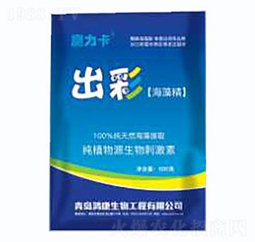 ���ʡ����徫-��������