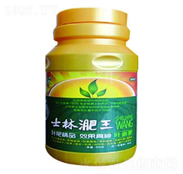 士林淝王-士林科技