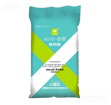 ���׹��}�V-������