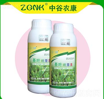 茶葉嫩芽豐-中谷農康