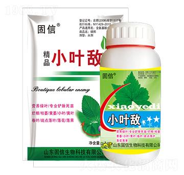 小葉敵-固信生物