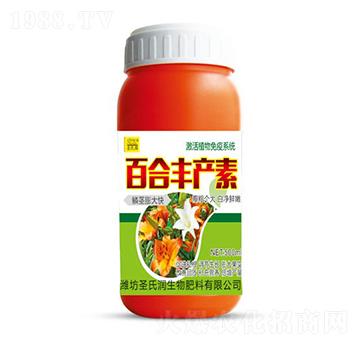 �ٺ��S�a(ch��n)��-ʥ�ϝ�(r��n)