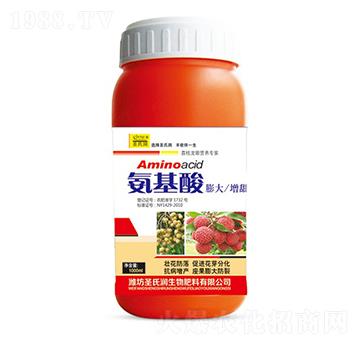 ������-ʥ�ϝ�