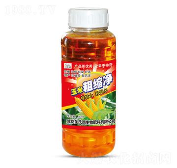 ���״ֿs��-ʥ�ϝ�