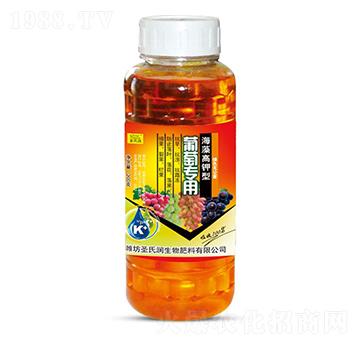 ���ь��ú�������-ʥ�ϝ�