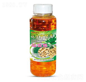 �����C�C�S-ʥ�ϝ�(r��n)