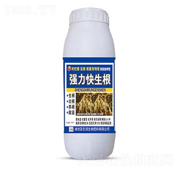 ��(qi��ng)��������-ʥ�ϝ�(r��n)