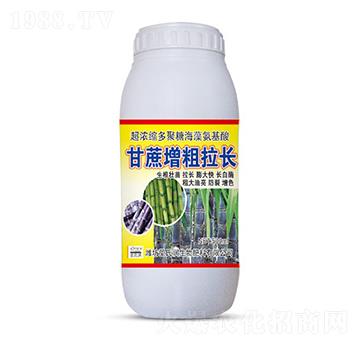 500ml�����������L-ʥ�ϝ�