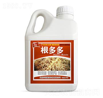 5kg�����-ʥ�ϝ�(r��n)