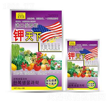 �����-ʥ�ϝ�