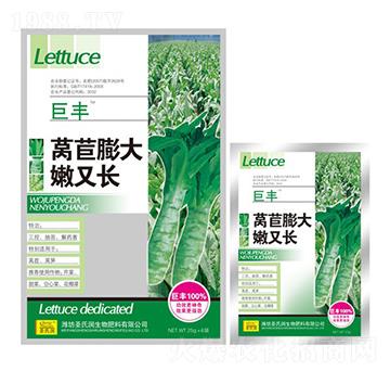 �n����������L-ʥ�ϝ�