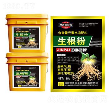 ������-ʥ�ϝ�(r��n)