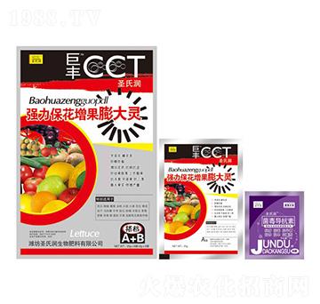 ��(qi��ng)��������������`-ʥ�ϝ�(r��n)