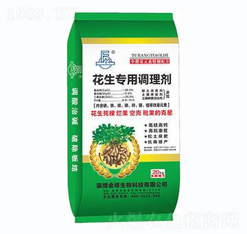 ���������{�턩-��廯��