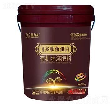 ��������~����-ؐ����-� ��S