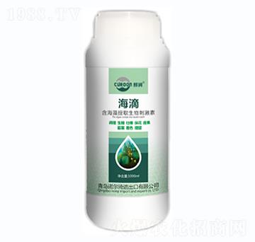 ����-�Z����