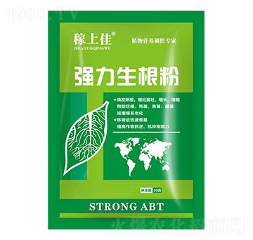 ����������-���ϼ�-�����r(n��ng)�I(y��)