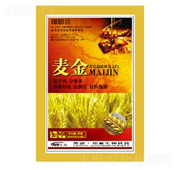 ����-������