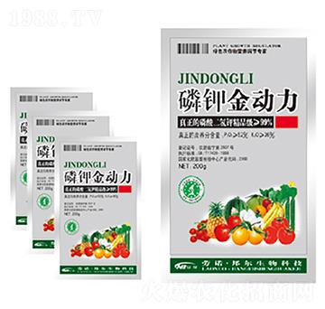 ��⛽���(d��ng)��-������