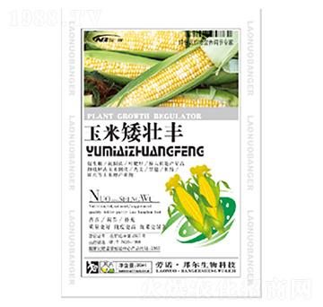 ���װ����S-������