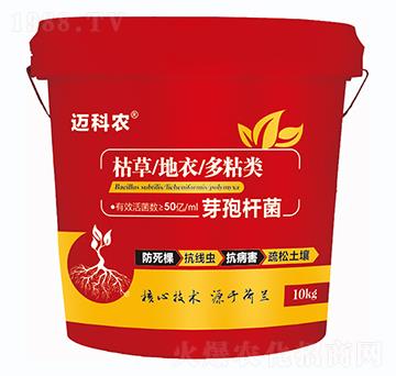 ѿ�ߗU��-�~���r(n��ng)-�Έ�����