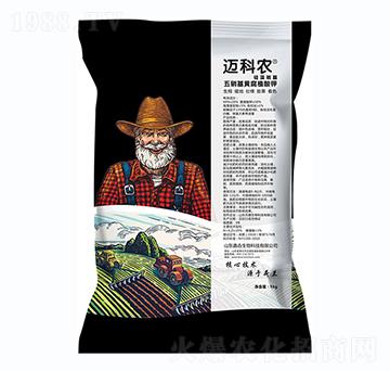 �������S�����-�~���r(n��ng)-�Έ�����