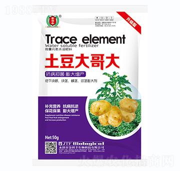 土豆大哥大-金田豐