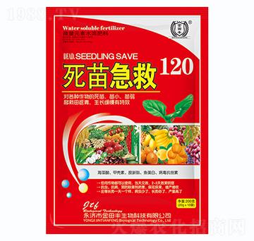 死苗急救120-金田豐