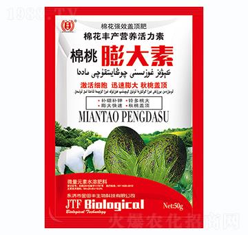 棉桃膨大素-金田豐