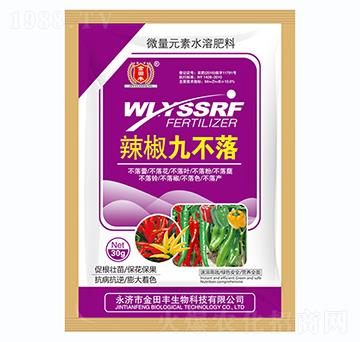 辣椒九不落-金田豐