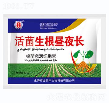 活菌生根晝夜長(zhǎng)-金田豐